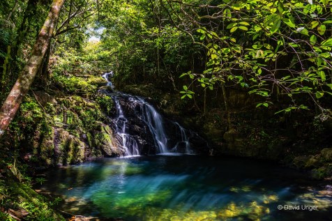 David-Unger-Mayflower Waterfall_20957508328_o